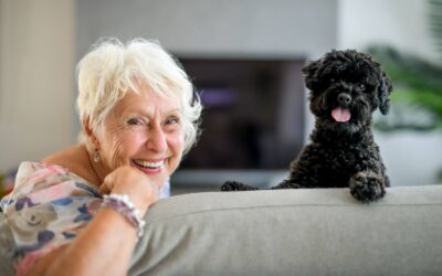 7 BEST SMALL DOGS FOR SENIOR CITIZENS