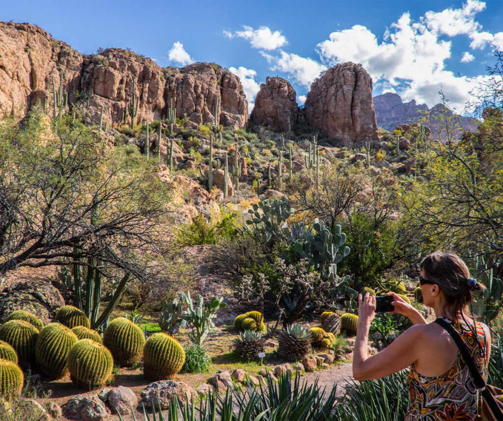 THE 10 BEST Fun Activities & Games in Phoenix (Updated 2023)